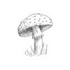 Mushroom Stickers